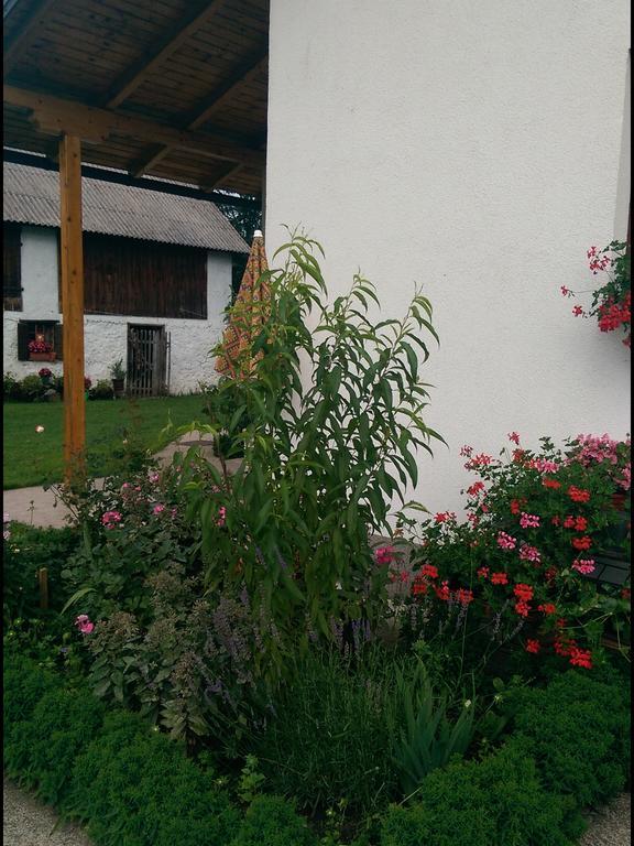 Apartamento House Nada Donji Babin Potok Exterior foto
