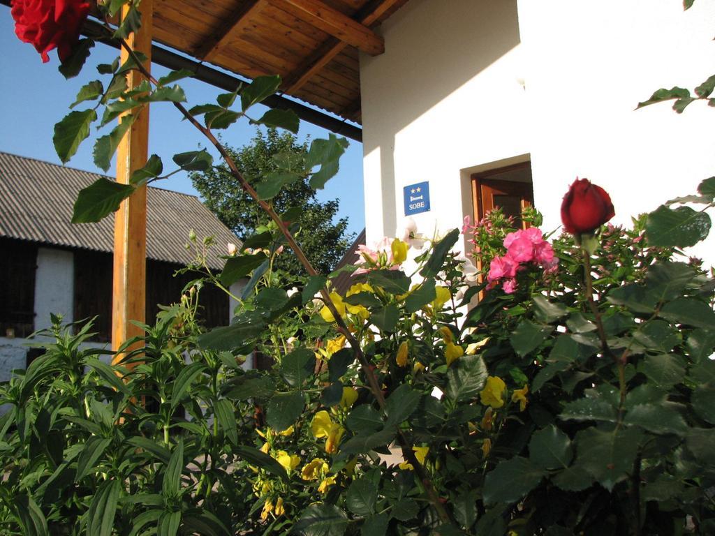 Apartamento House Nada Donji Babin Potok Exterior foto