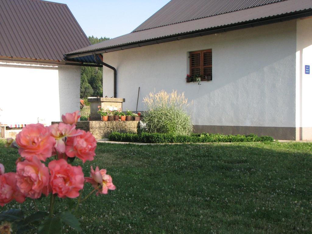 Apartamento House Nada Donji Babin Potok Exterior foto